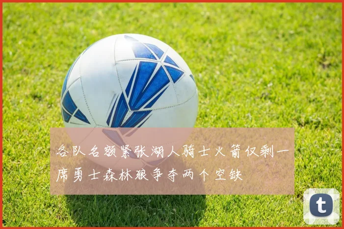 各队名额紧张湖人骑士火箭仅剩一席勇士森林狼争夺两个空缺